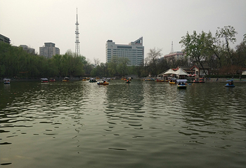 莲湖公园第 21 张图片