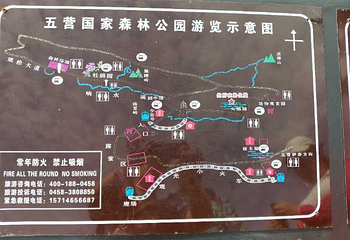 五营红松林海景区第 41 张图片