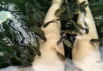 泽胜温泉城第 22 张图片