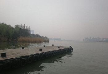 金鸡湖桃花岛第 7 张图片