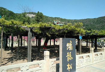 天龙山石窟第 20 张图片