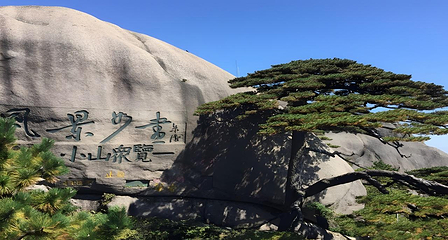 黄山风景区第 15 张图片