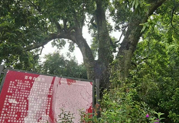 谢鲁山庄风景名胜区第 25 张图片