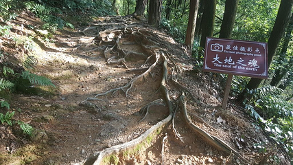 小格里第 12 张图片
