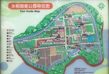 水稻国家公园第 101 张图片