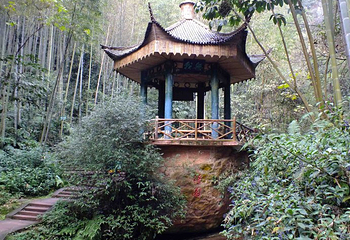 蜀南竹海风景名胜区-忘忧谷第 19 张图片