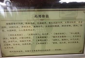 香榧森林公园第 37 张图片