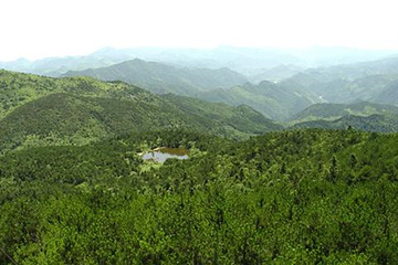 白露山风景区第 7 张图片