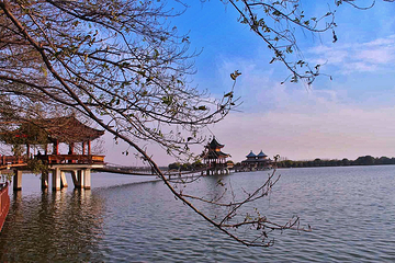 八里河旅游区第 60 张图片
