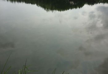 守拙园第 46 张图片