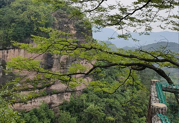 方岩风景名胜区第 46 张图片