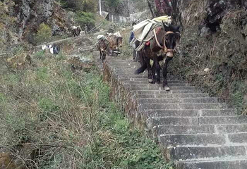蓬壶百丈岩风景区第 29 张图片