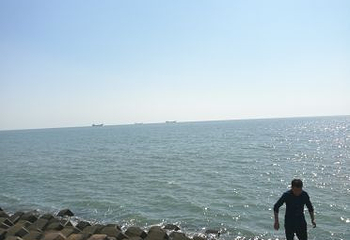 海阳连理岛第 32 张图片