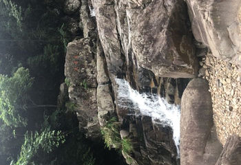 天目山自然保护区第 113 张图片