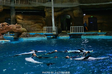 杭州长乔极地海洋公园第 77 张图片