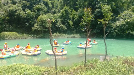 大王岭原始森林第 27 张图片