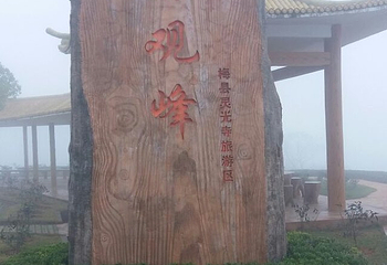 灵光寺第 33 张图片