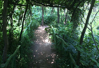 沂源南鲁山风景区第 26 张图片
