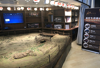 涟泉大江户(上海莘庄店)第 75 张图片