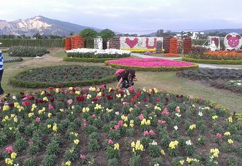 中社觀光花市第 5 张图片