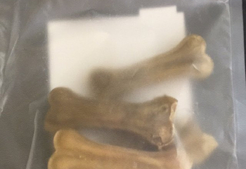 岷江新濠汤池第 17 张图片