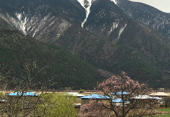 中流砥柱第 25 张图片