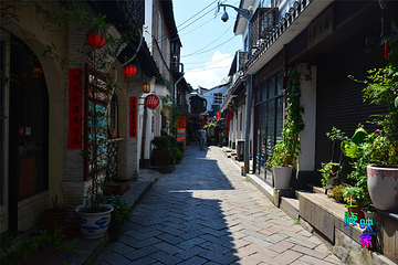 朱家角古镇景区第 232 张图片