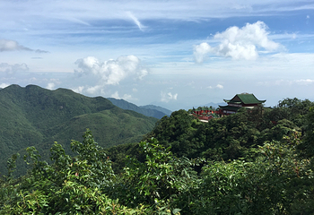 莽山旅游区国家森林公园第 90 张图片