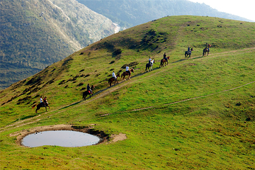 百里荒旅游度假区第 50 张图片