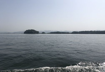 南湾湖风景区第 30 张图片