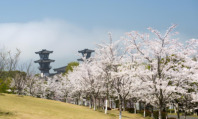 三国城第 36 张图片
