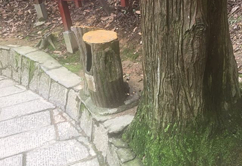 黄石寨索道第 32 张图片