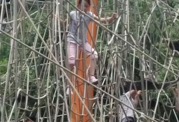 贝拉小镇第 63 张图片