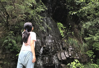 九龙山国家森林公园第 16 张图片