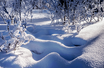 北大湖滑雪度假区第 53 张图片
