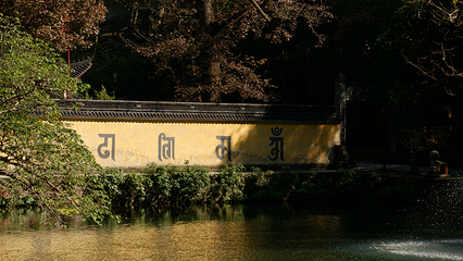 新昌大佛寺景区第 111 张图片