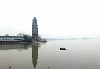 潮州市韩江碧道湘桥区段-凤凰洲公园第 3 张图片