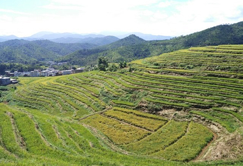坪山梯田旅游区第 20 张图片
