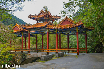 新丰江国家森林公园桂山风景区第 46 张图片