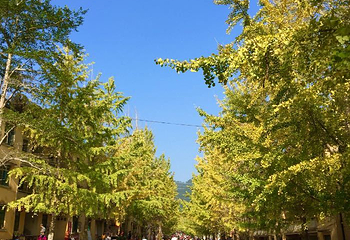帽子峰旅游景区第 86 张图片