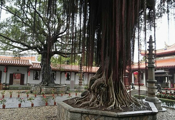 承天禅寺第 37 张图片