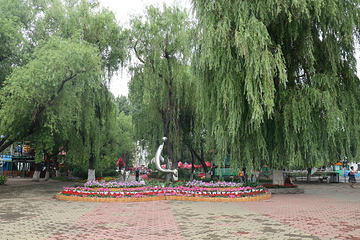 松花江大剧院第 4 张图片
