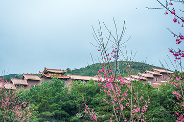 九鲤湖风景区第 21 张图片
