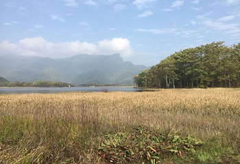 阳城驿景区第 42 张图片