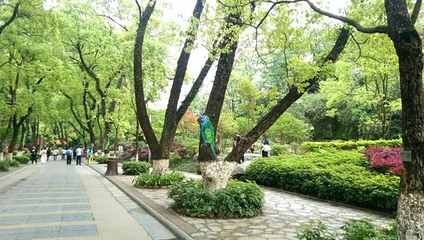 骆驼山第 22 张图片