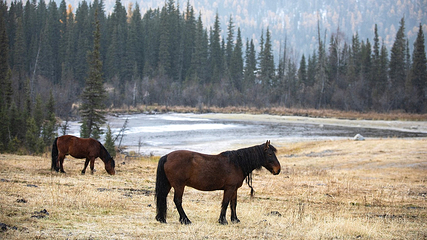 神仙湾第 14 张图片