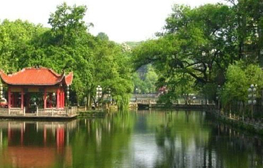 莲花塘第 6 张图片