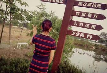普罗旺斯薰衣草庄园第 33 张图片