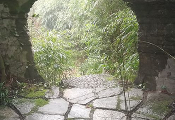 梦幻奥陶纪景区第 47 张图片