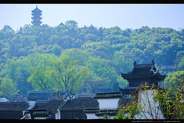 惠山古镇·寄畅园第 113 张图片